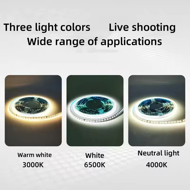 Lumières à bande LED à haute tension intérieure étanche 230v 220v chaude blanche 3000k 4200k 6500k LED Light Strip