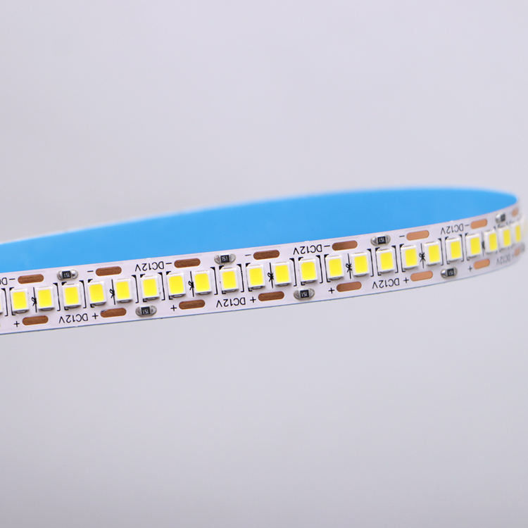 DC12V/24V 10mm 5M/Roll 2835 80Ra bande LED avec PCB blanc et angle de faisceau de 120°