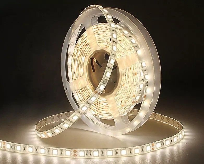 12w 12v 24v 10mm 60 LEDs Rgb 5050 Smd Flexible LED Strip Light avec et plusieurs couleurs