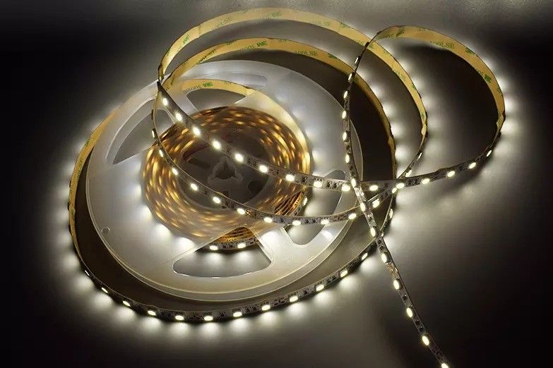 12w 12v 24v 10mm 60 LEDs Rgb 5050 Smd Flexible LED Strip Light avec et plusieurs couleurs
