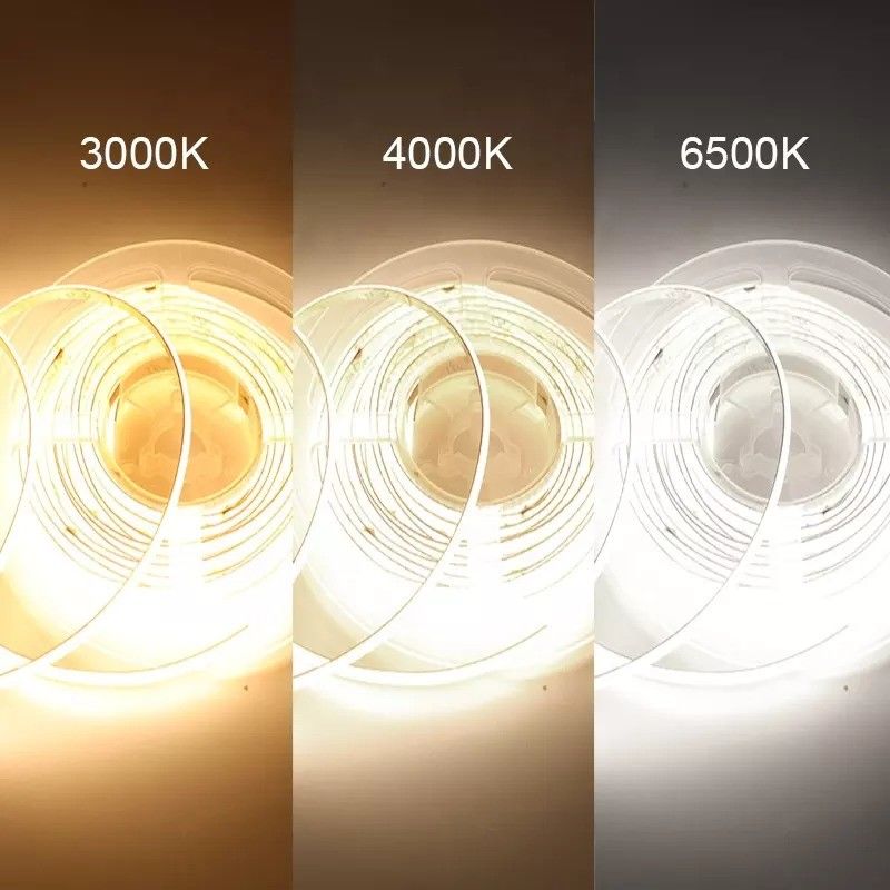 RGBW RGBWW RGBIC RGB CCT Neon lumineux personnalisable pour l'éclairage extérieur 50000 heures de travail