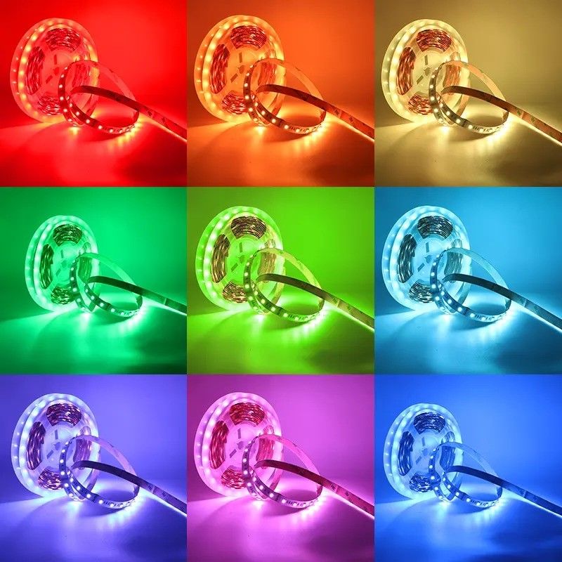 12w 12v 24v 10mm 60 LEDs Rgb 5050 Smd Flexible LED Strip Light avec et plusieurs couleurs