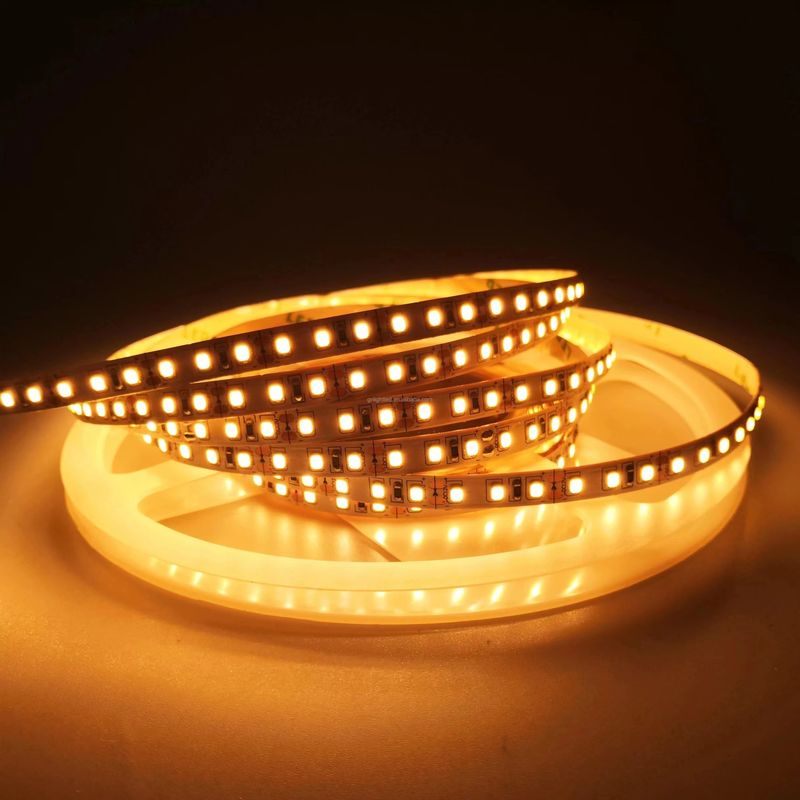 IP20 Éclairage de décoration de paysage 5m 10m 12v 24v 220v Rgbw Cob Light Strip