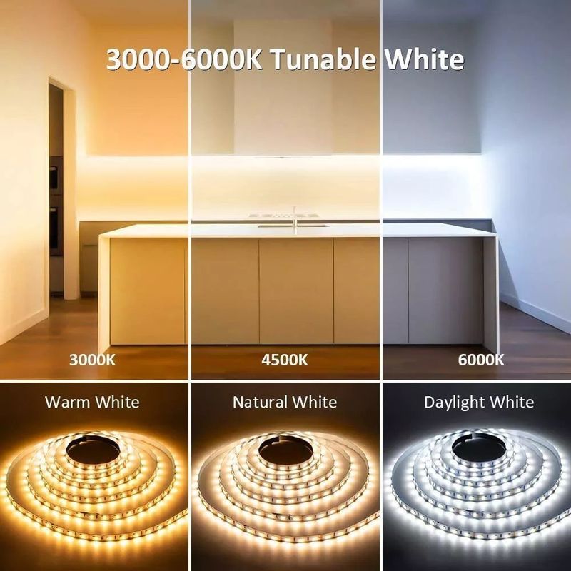 IP20 Éclairage de décoration de paysage 5m 10m 12v 24v 220v Rgbw Cob Light Strip