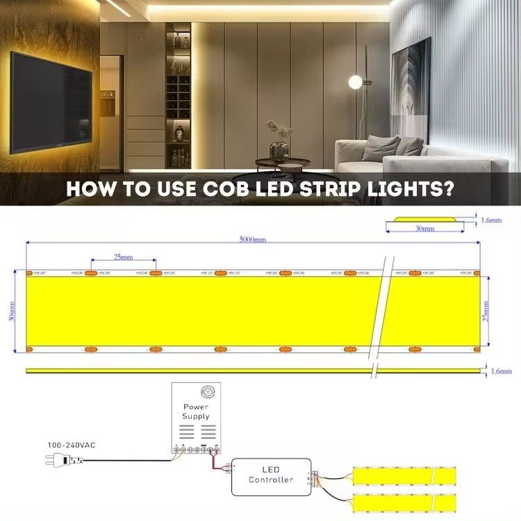 24v 30mm COB LED à bande de lumière flexible avec super large 5 rangées 1600LED et CRI Ra 90