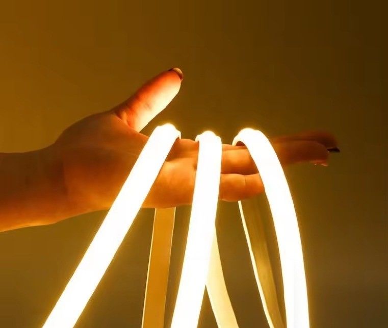 Lumière à bande LED extérieure haute tension flexible COB 288leds Source lumineuse LED 220V 110V 800lm